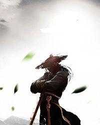 第九星门好不好看